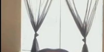 Twerklolababy Jigglin Booty