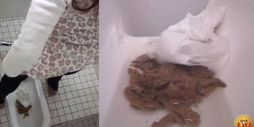 Chicks And Poo
