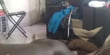 Indian housewife fucked by black neighbor I found her at affairs.one