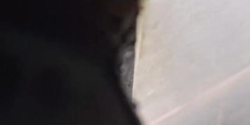 Colombian Cleaning Girl Gives Her Big Ass Before Moving to America - Homemade Hardcore
