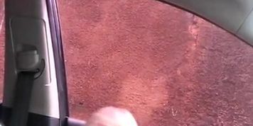 Car flash teen