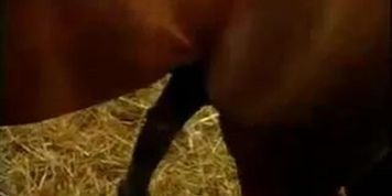 italian woman fucking very hardcore scene (La Tina, Mia D Coccinelle)