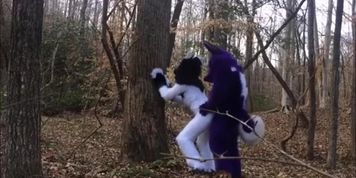 Furry Yiff (Fursuit)