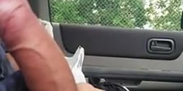 Car dickflash