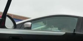 Carflash - Cutie takes a quick peek