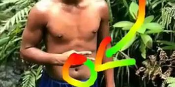 TikTok King