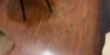 Hogtied Locked and Fucked