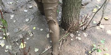 mud girl Chinese