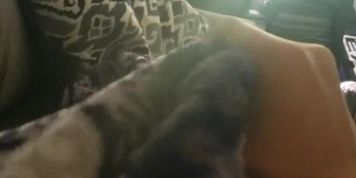 18 year old boy with 7 inch dick cums on stomach