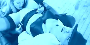 Wicked Lesbians (Strap On)