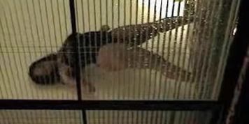 Licentious girl is dancing in the window topless