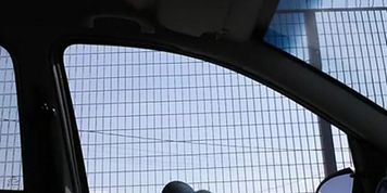 Car dickflash