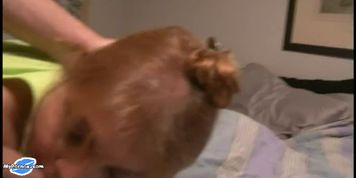 Mexican Granny Butt Fucked Continue on MyPornox com
