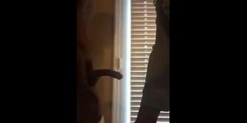 sexy head