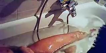 Enthralling showers spy cam video