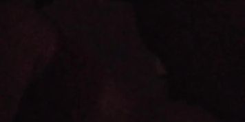 Horny couple screw in the dark