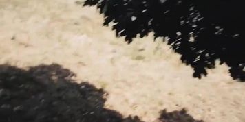 Milf Swallows Cum On Hiking Trail