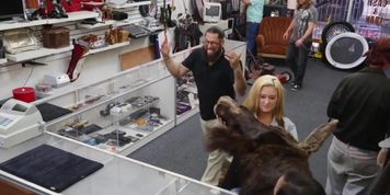 Pawnshop amateur sucking manager dick before fucking
