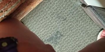 Pissing in the office (camera had trouble focusing)