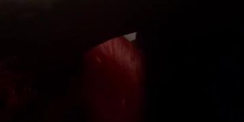 Red bone blowjob