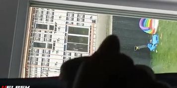 Dick Flash Maid Window 2