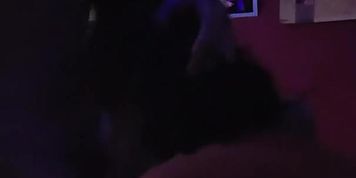 "My bitches only want two things, that's to get high and kick it."