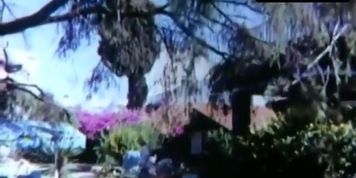 Isabel Sarli Sexy Scene  in A Butterfly In The Night