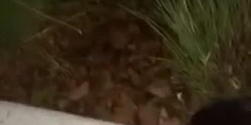 Interracial backshots outside at the park 
