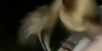 bgvyvyvv