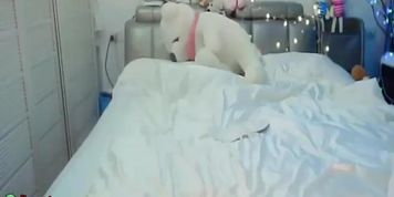 Asian 18yo tight pussy fucks herself