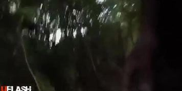 Outdoor Dickflash