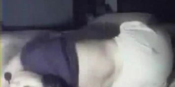 Dirty Pakistani Wife