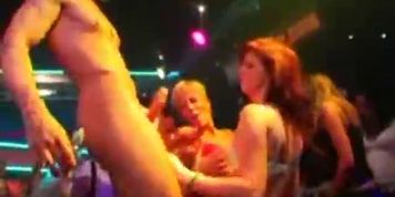 Strippers Get Sucked by Amateur Girls