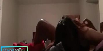 Wife Blacked by Bull