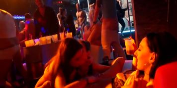 Amazing Fun At The Party