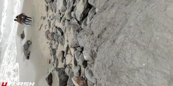 Public beach dickflash