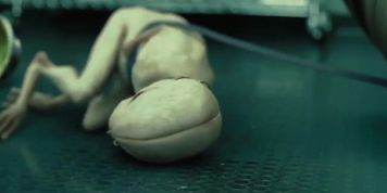 Splice (Experimento Mortal)