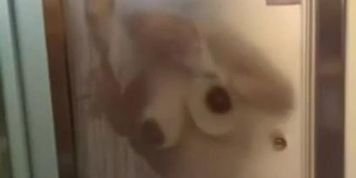 em cave k&ecirc;u r&ecirc;n th?m thi?t khi b? anh n&ocirc;ng d&acirc;n chim to ?? trong nh&agrave; t?m