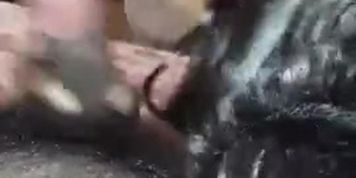 Mallu Girl Blowjob with audio.. kerala