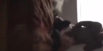 rock rough teen boy pounds best friend's mom