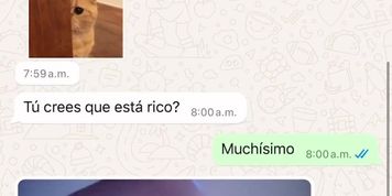 Chat con cita de Tinder lo dejo caliente (WhatsApp)