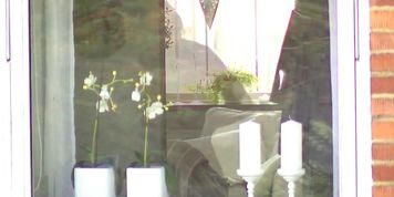 Window Voyeur