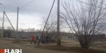 Outdoor dickflash for group of Teens