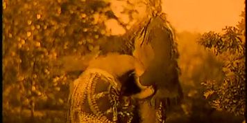 Josephine Baker Breasts Scene  in Siren Of The Tropics