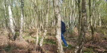 public screw in the woods