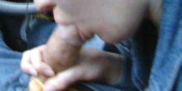 Amateur blowjob in car on side of road