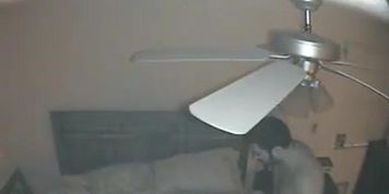 spying