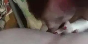 Amateur rough sex with big german girl