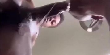 @Real.lishae instagram model exposed giving sloppy toppy