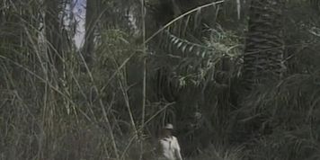 EIephants 1 (1997) JdA